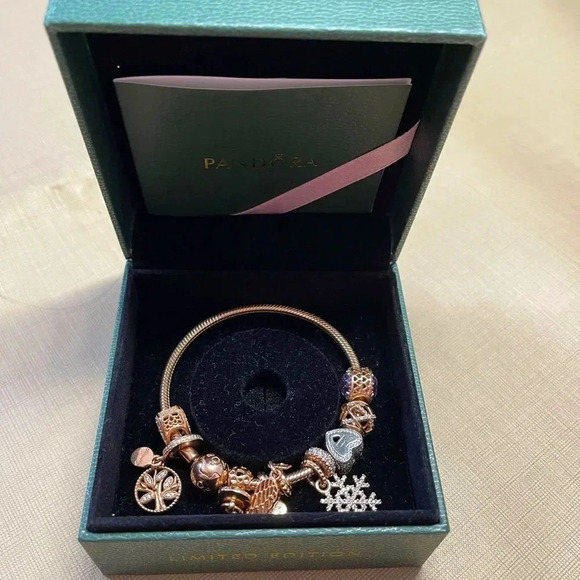 Pandora Limited edition Rose Gold bracelet set 10 charms,Very Rare to find - Picture 10 of 16